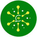 Snwolley AI Logo